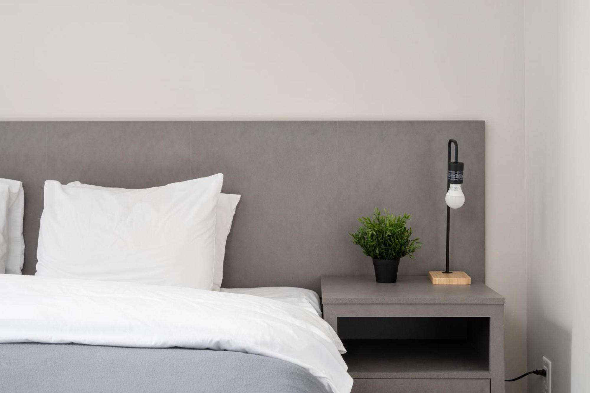 Apartment Plateau Prime *